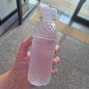 야니뷰티 - 전주시 덕진구 | 무안 속눈썹 라움뷰티 속눈썹 펌 솔직 후기(대만족)
