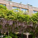 서울초당초등학교 이미지