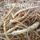 수삼센터83호