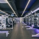 짐샤크 하안점 이미지