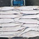 서해판매 이미지