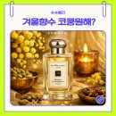 안앤조 | 조말론 미모사 앤 카다멈 후기 코쿵 제대로 당한한 겨울향수 추천