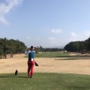 슈퍼에그 이미지