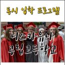 니스카 티스토리