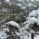 치악산모텔 이미지