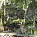 기선목장 이미지