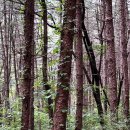 별빛새길갤러리&카페 | 가평 더스테이힐링파크 와일드가든 힐링산책로 별빛정원｜자연러버들 여기 가면 됩니다