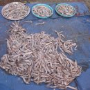 후포시장 이미지