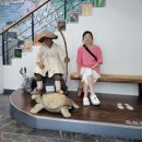 영월군시설관리공단 화장실 이미지