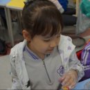 관음초등학교 이미지