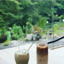 모소대나무 | 판교 더 라운지(The Lounge), 고기리 카페 모소밤부(대나무 라떼 맛집) 후기