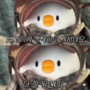 엘앤제이왁싱엔레푸스 이미지