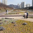 천본 등잔일보