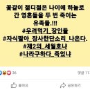 "시체팔이" "나라 구하다 죽었냐"… 막말한 창원시의원 해명 "의원 신분 깜빡" 이미지