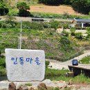 대원리경로당 Daum카페