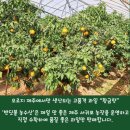 동무농장 이미지