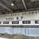 엄마솜씨 - 서구 | 공주 한정식 맛집] 솔반 | 계룡산 자락 퓨전 한정식, 엄마솜씨 세트 후기