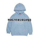 하버드키즈 하버드 시그니처 로고 후드티셔츠 B5S019, 하버드키즈 필수 가이드!