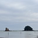 말보로맨 오토캠핑장 | [충남 태안] 마린 오토 캠핑장 안면도 꽃지해수욕장 명당 자리 후기 B-11 반려동물 입장가능