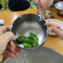읍성가마솥 티스토리
