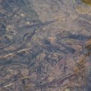 후덕농원 이미지