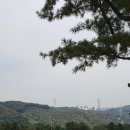 코리아골프빌리지 대우그린카운티 이미지