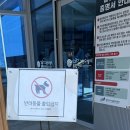 강원특별자치도 국제도시훈련센터(1층) | 소금산 그랜드밸리 출렁다리 : 아이와 함께 간단 코스 / 케이블카, 할인 방법, 미디어아트센터