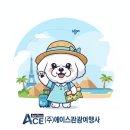 (주)월드관광여행사