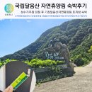 달음산자연휴양림 | 산림청 성수기 추첨 당첨 후 국립 달음산 자연휴양림 토끼방 후기