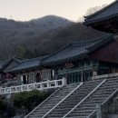 천년의 바람이 부는 금정산 범어사