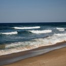 망상오토캠핑리조트 이미지