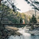 미스터동양 이미지