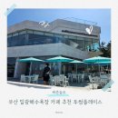 일광해수욕장4 | 부산 일광해수욕장 카페 추천 투썸플레이스 방문후기 주차