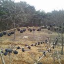 내유농장 이미지