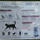 방기공원 네이버블로그