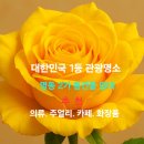 명동4길 티스토리