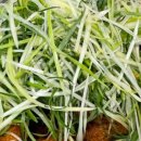 모범닭집 이미지