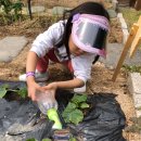 녹수농장 이미지