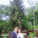 CP커플국제결혼 이미지