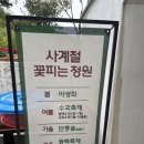2056 | 통영 대형카페 아르세 정원카페