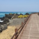 호텔한림항 이미지