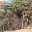 마중리 이미지