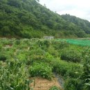 부해농장 이미지