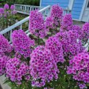 우하하농장 이미지