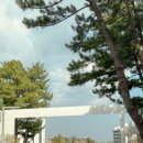 지앤피 | 강릉씨마크호텔 프로포즈 꽃배달 | 호텔프로포즈 후기사진 |지앤피프로포즈