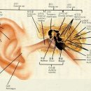 세종메디컬 이미지