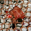 양주목장 이미지