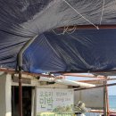 돌 민박 | 포항 오도리민박 평상대여 바다물놀이 해루질 후기