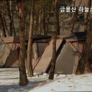 금물산하늘소캠프 이미지