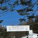 선창목장 | 대관령 양떼목장 2월 방문 후기 포토존 기념품샵 정보 강릉 여행 코스 추천